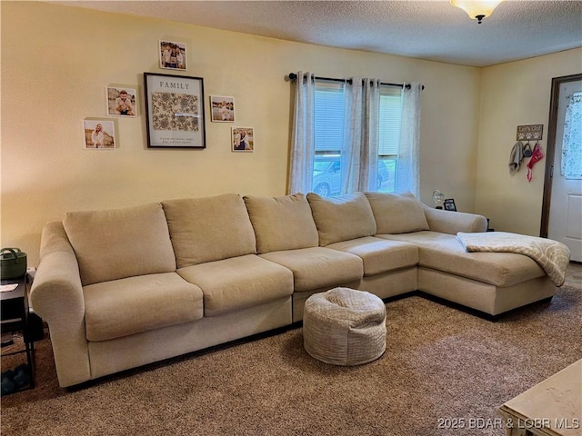 carpeted living area with a textured ceiling