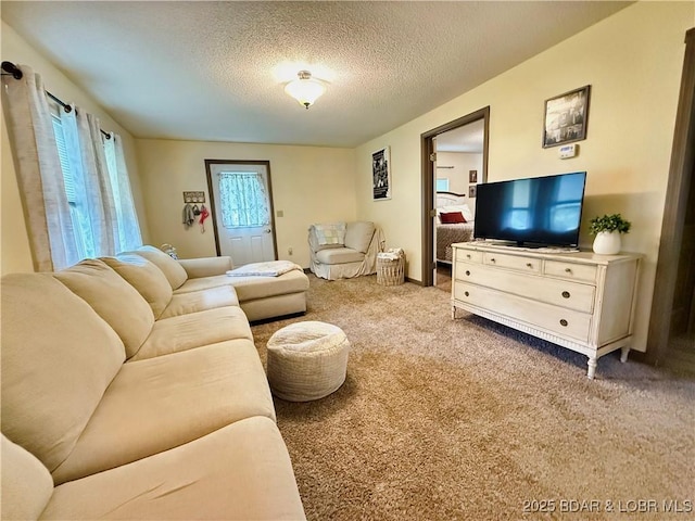 carpeted living area featuring a textured ceiling