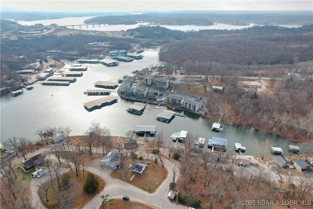 aerial view of property's location featuring a large body of water