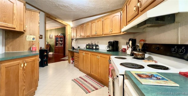 29745 Canary Rd, Gravois Mills, MO 65037 - kitchen featuring electric stove, a textured ceiling, under cabinet range hood, and dark countertops
