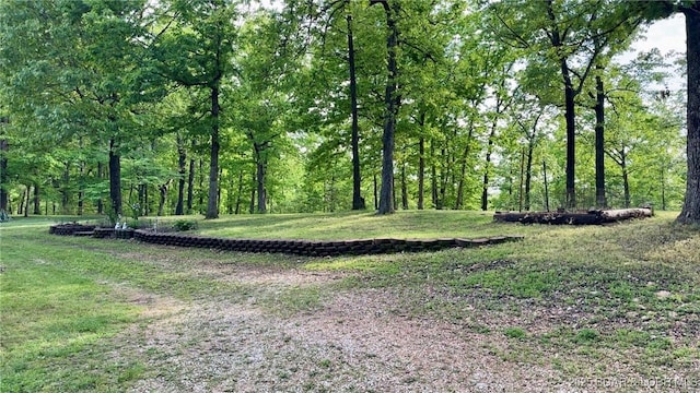 29745 Canary Rd, Gravois Mills, MO 65037 - view of yard with a wooded view