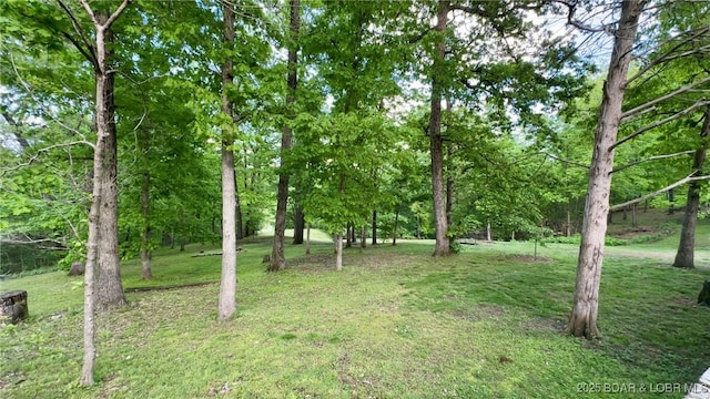 29745 Canary Rd, Gravois Mills, MO 65037 - view of green lawn