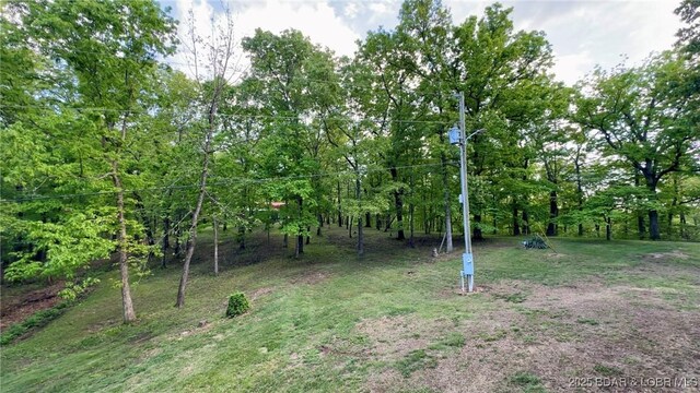 29745 Canary Rd, Gravois Mills, MO 65037 - view of yard