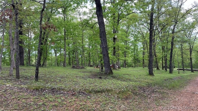 29745 Canary Rd, Gravois Mills, MO 65037 - view of wooded area