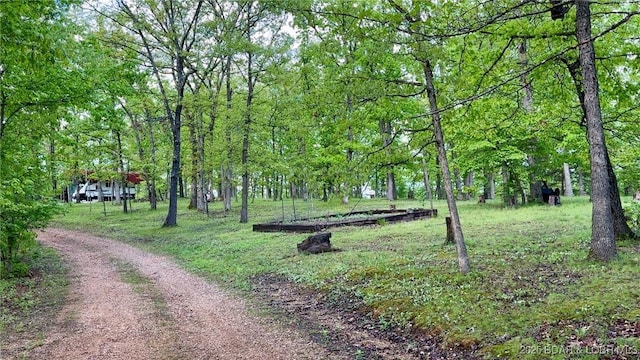 29745 Canary Rd, Gravois Mills, MO 65037 - surrounding community with a view of trees