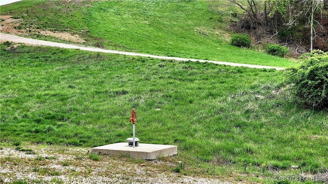 25455 Rail Rd, Richland, MO 65556 - view of yard
