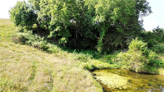 25455 Rail Rd, Richland, MO 65556 - photo 30