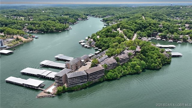 bird's eye view of a nearby body of water and a forest