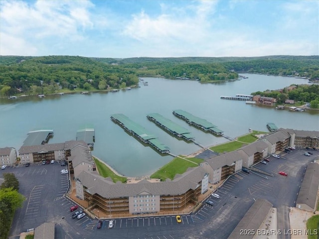 aerial view of a heavily wooded area and a large body of water