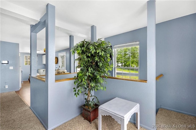 35 Teak Village Dr, Lake Ozark, MO 65049 - hall with carpet and baseboards