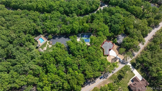 drone / aerial view of a forest