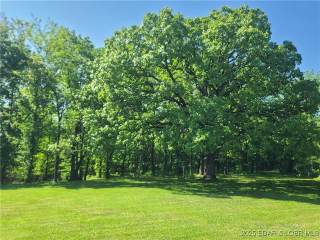 view of green lawn