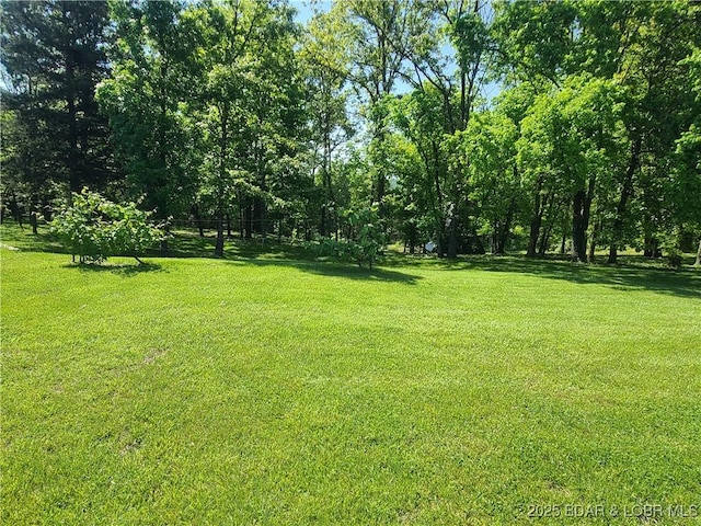 view of grassy yard