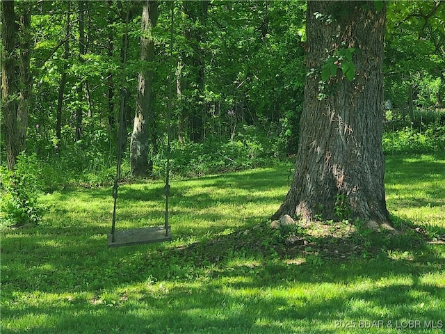 view of tree filled area