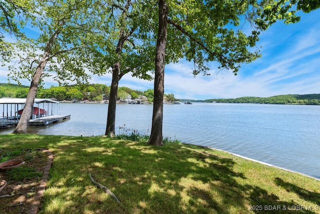 dock with a water view and a yard