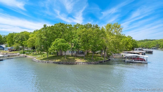 water view with a floating dock