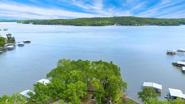 water view with a heavily wooded area