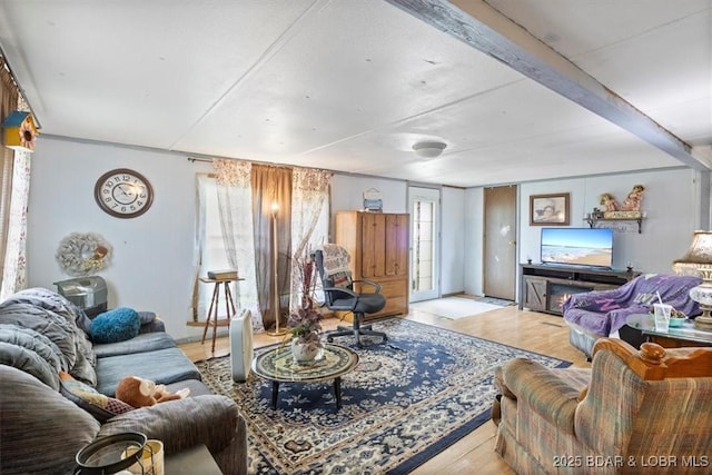 living area featuring wood finished floors