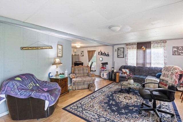 living room featuring wood finished floors