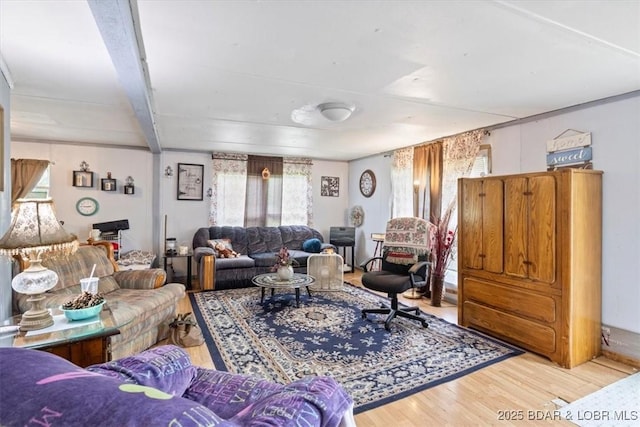 living room featuring wood finished floors and plenty of natural light