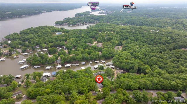 aerial view of a large body of water and a forest