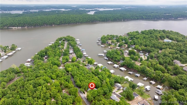 bird's eye view of a large body of water and a forest
