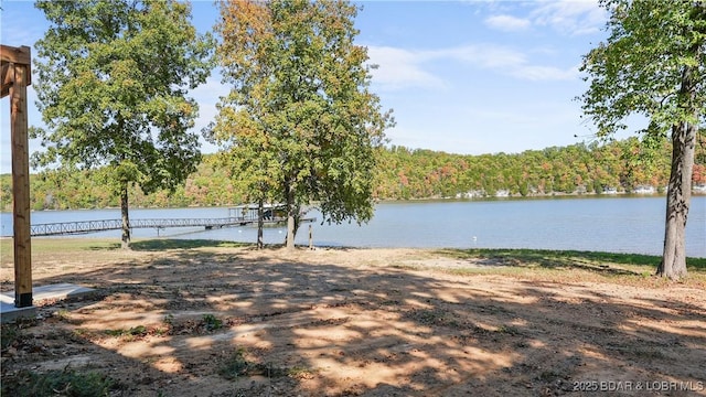 water view featuring a heavily wooded area and a dock