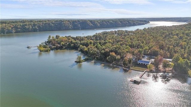 drone / aerial view of a forest and a large body of water