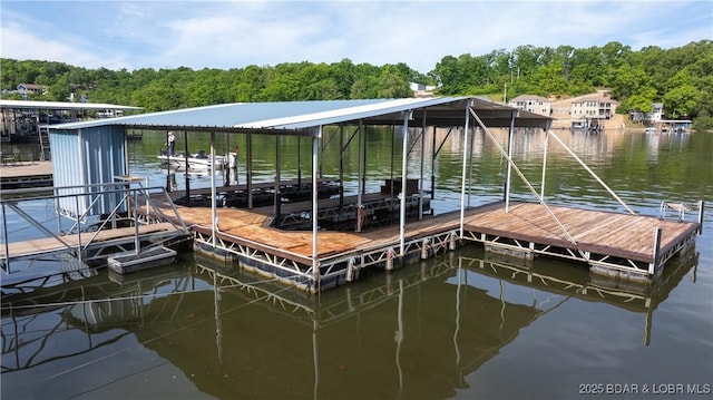 dock with a water view