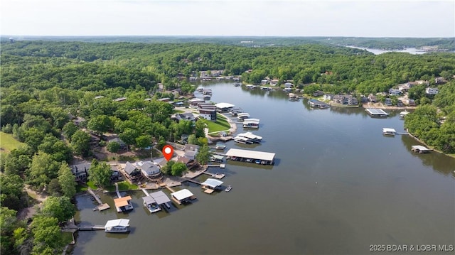 bird's eye view of a forest and a nearby body of water