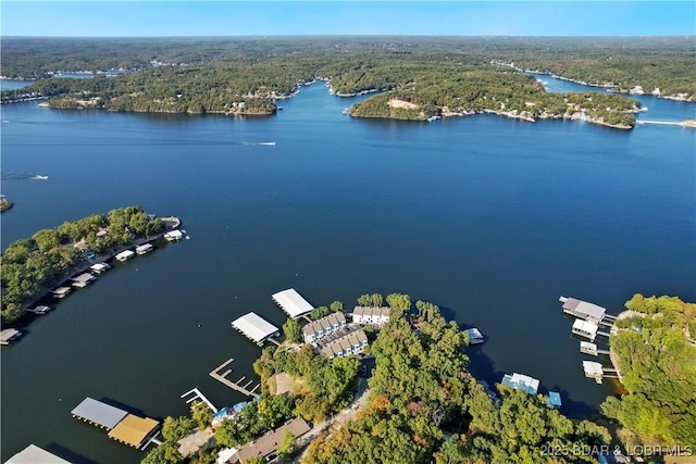 view of property location featuring a forest and a nearby body of water