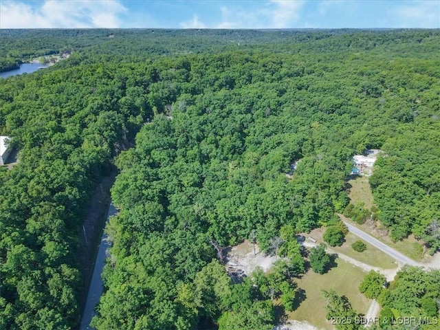 0 Rustic Valley Dr, Roach, MO 65787