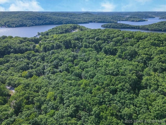 0 Rustic Valley Dr, Roach, MO 65787