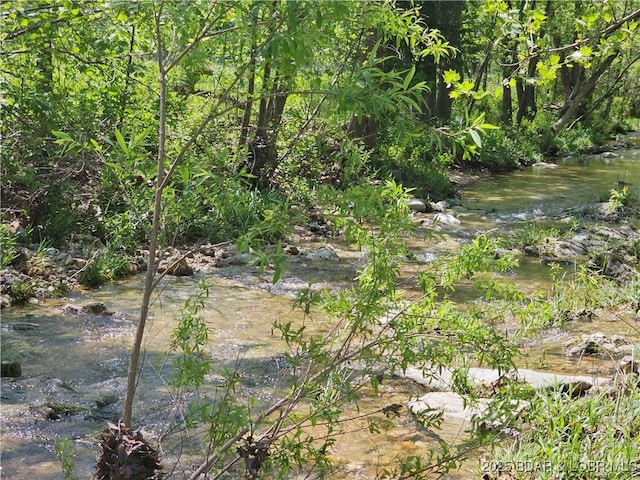 view of undeveloped land