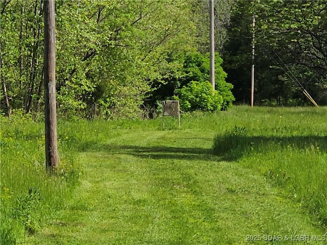 view of local wilderness