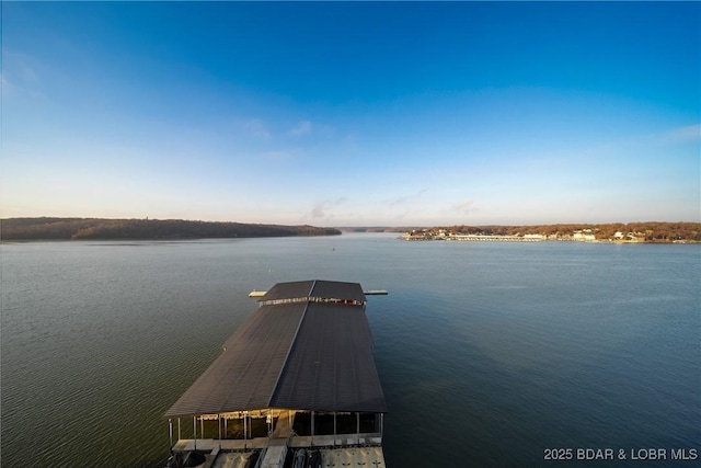 dock with a water view