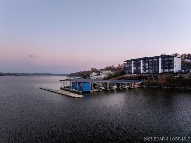 dock area with a water view