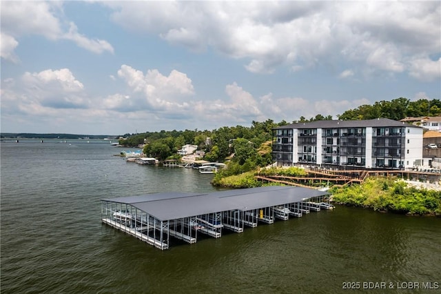 dock featuring a water view