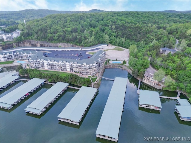 aerial view of a heavily wooded area and a large body of water