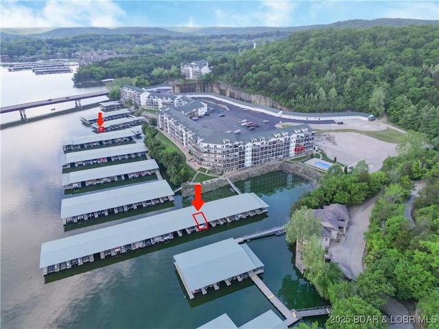 drone / aerial view of a forest and a large body of water