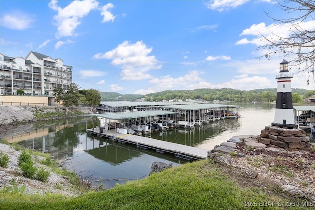 dock area with a water view