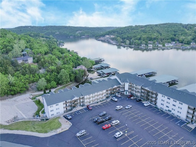 drone / aerial view of a forest and a large body of water