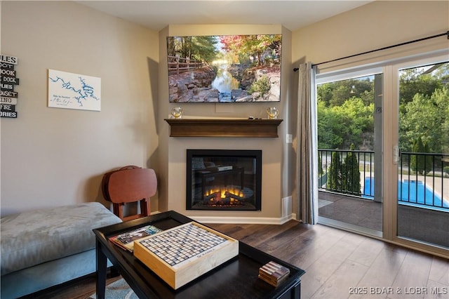 living room featuring wood finished floors and a glass covered fireplace