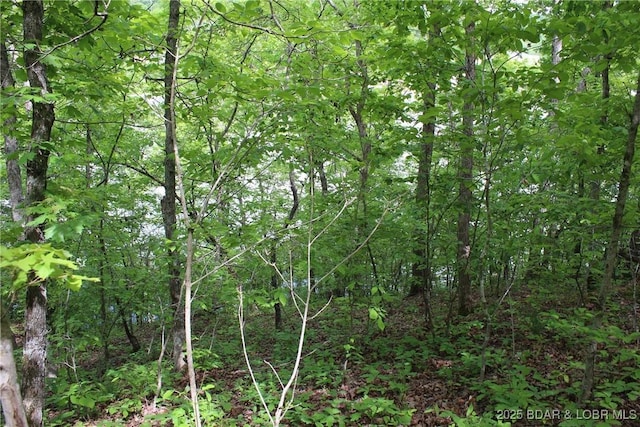 TBD Butler Rd, Gravois Mills, MO 65037 - photo 1