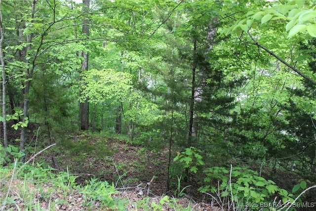 TBD Butler Rd, Gravois Mills, MO 65037 - photo 2
