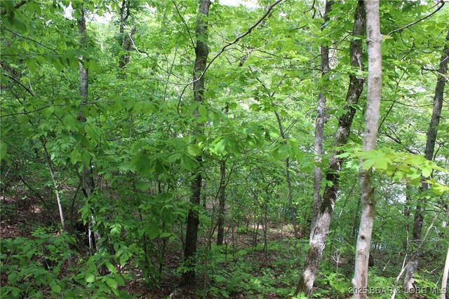 TBD Butler Rd, Gravois Mills, MO 65037 - photo 3