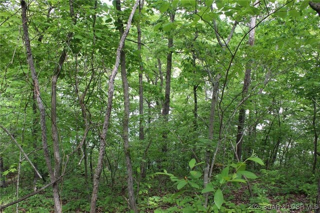 TBD Butler Rd, Gravois Mills, MO 65037 - photo 5