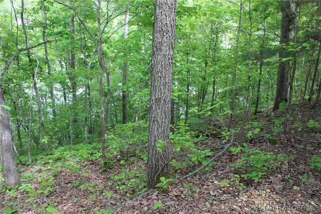 TBD Butler Rd, Gravois Mills, MO 65037 - photo 6