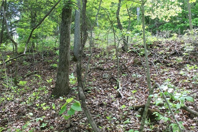 TBD Butler Rd, Gravois Mills, MO 65037 - photo 8