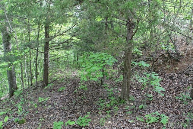 TBD Butler Rd, Gravois Mills, MO 65037 - photo 10
